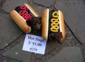 Hotdog_4